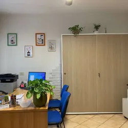 Interno studio Corsini